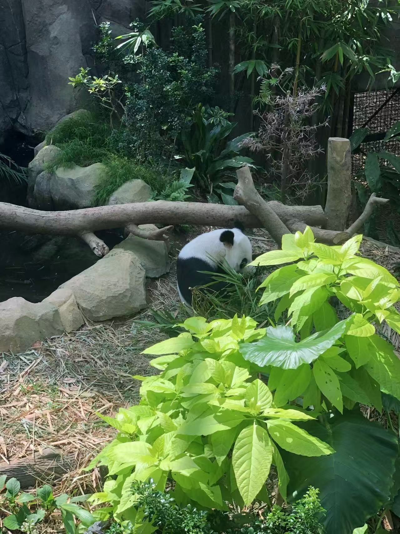 Bali and Singapore